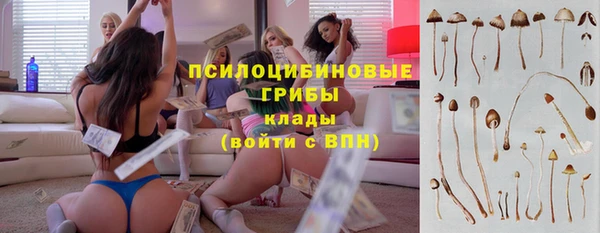 дмт Балабаново
